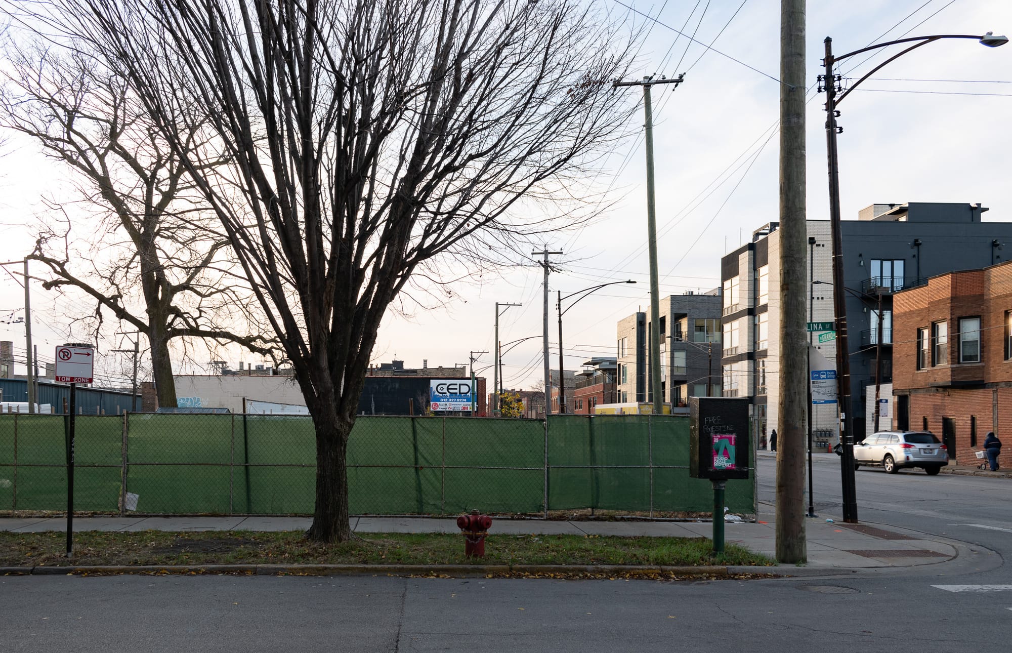 Fire hydrant, green construction fencing, a tree with no leaves