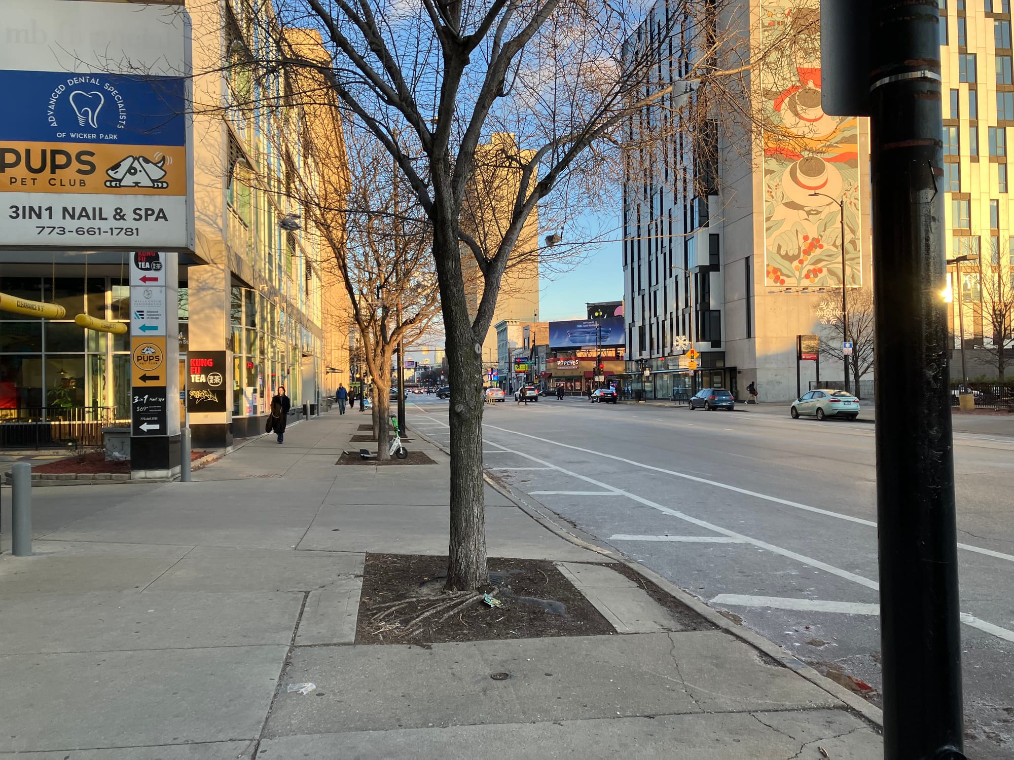 Color photo of a leafless tree next to a road, signs on the left for dentist office and nail spa. On the right 1611 W. Division, in the distance the Noble Square Cooperative. At sunset, buildings lit warm yellow.